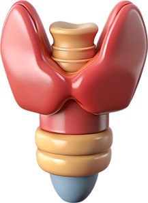 thyroid